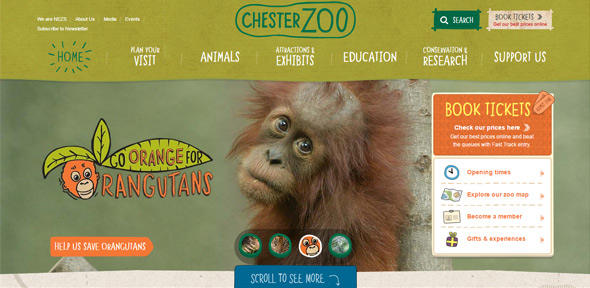 Chester-Zoo Hand-Drawn Website Designs